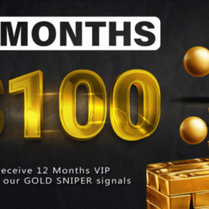 12 Months GOLD