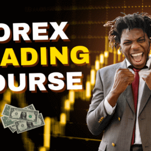 Forex Trading Course